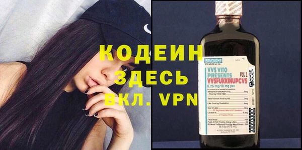 дмт Инсар