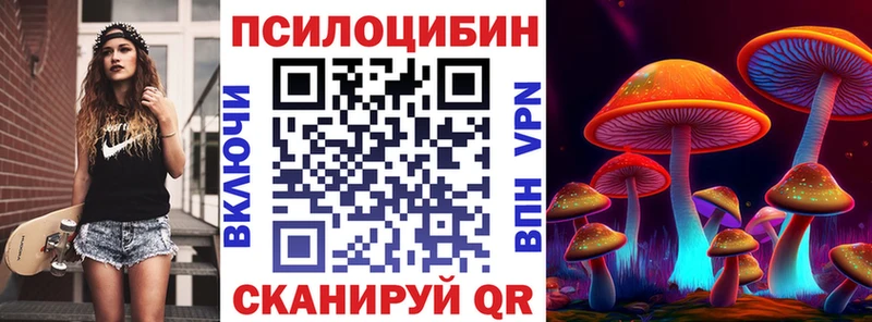 Псилоцибиновые грибы мицелий  Купить где  Высоцк 